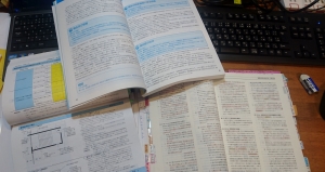 DSC_0605 (2500x1328).jpg